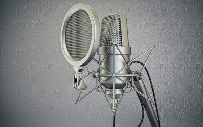 Trends in Voice-Over Translation
