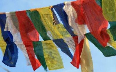 Nepal Is In Need Of Translation, Nepal Needs You