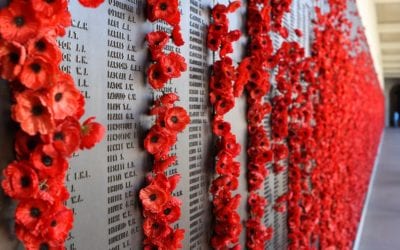 Remembrance Day and Red Poppies for Fallen Soldiers