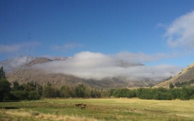 Patagonian Welsh – The Language of Little Wales Across the Ocean