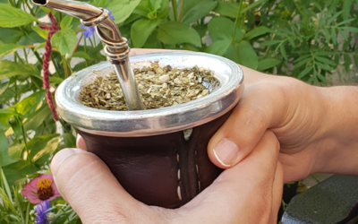 “El mate”: a special bond created by yerba mate