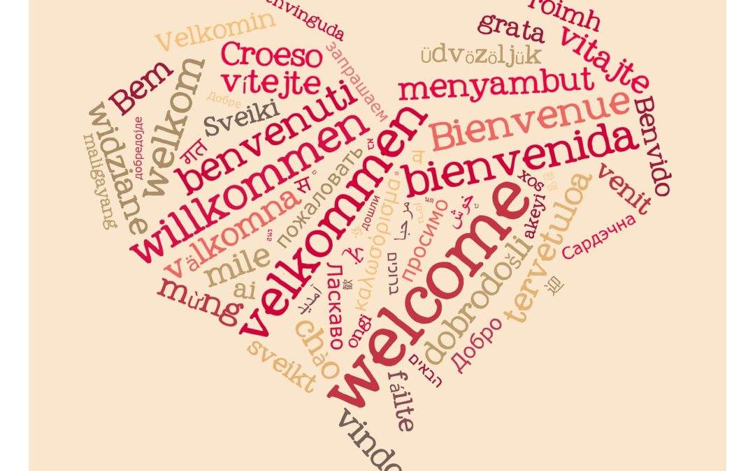 Dutch and Flemish: Language Differences