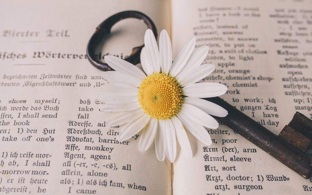 Certified Document Translation – September Newsletter