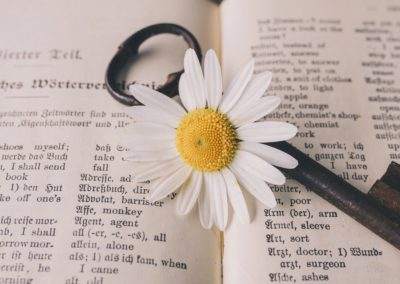 Certified Document Translation – September Newsletter